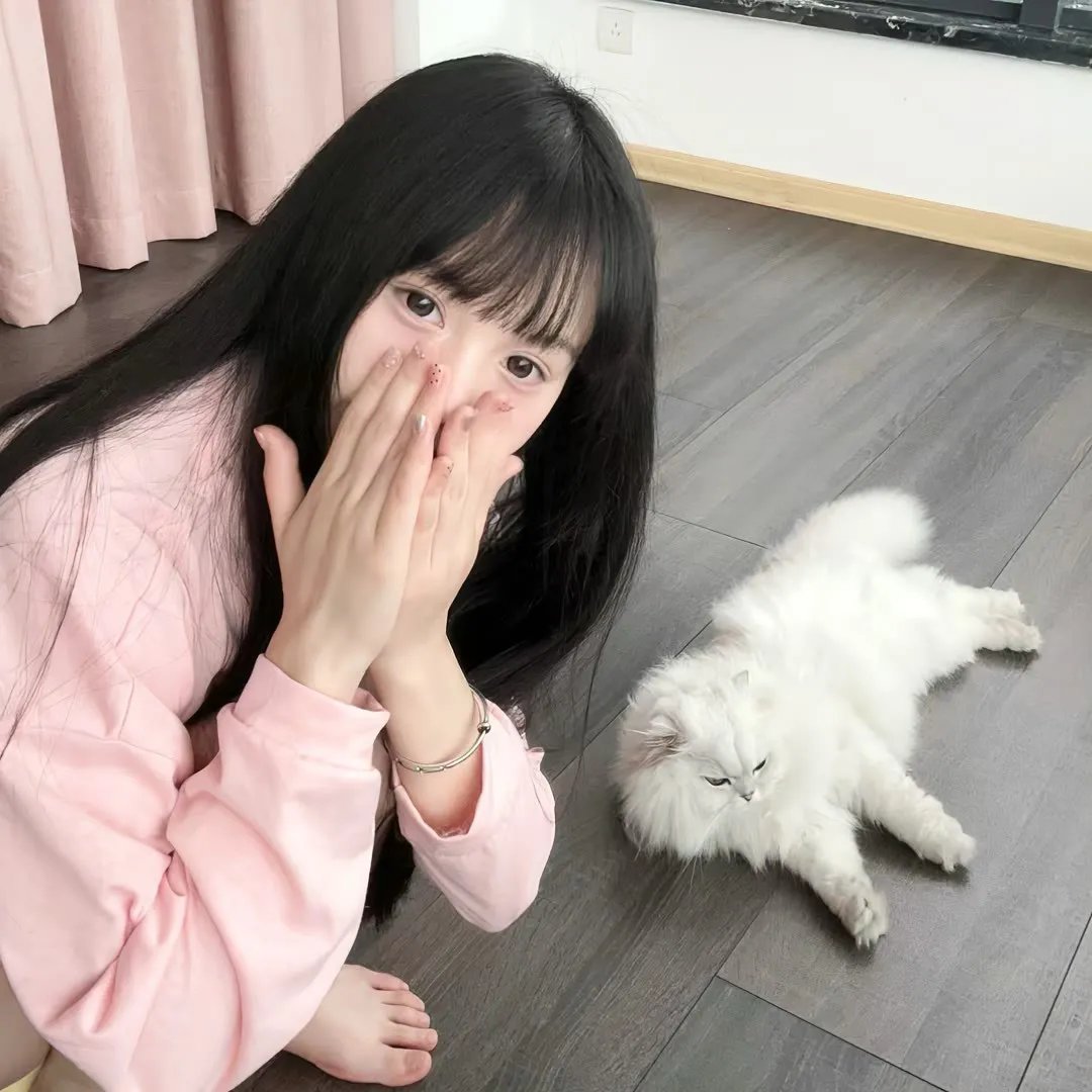 啄木鸟侦探所